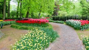 Brick paved garden path winding through flower beds
