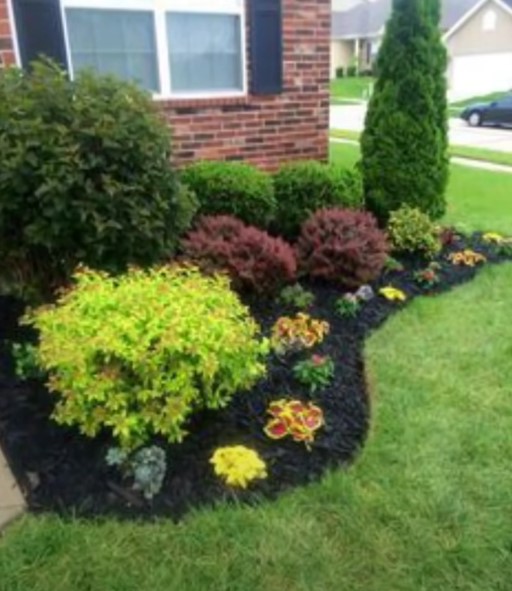 Garden bed with mixed shrubs and mulch beside a brick home