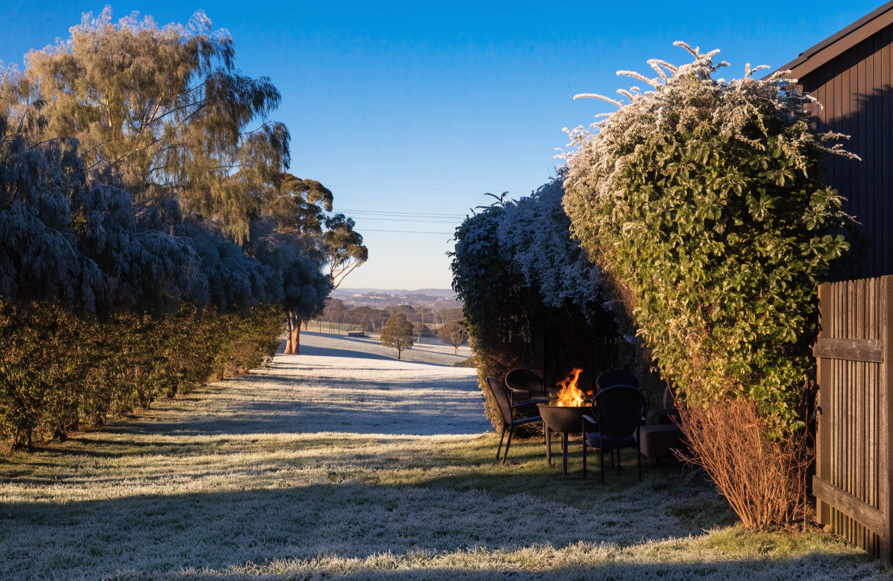 Frost-touched Australian backyard on a crisp clear morning